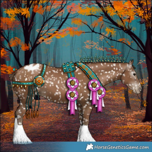 Horse Color:Gray Black Pearl Appaloosa 