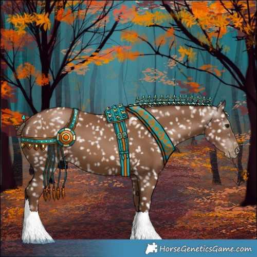 Horse Color:Gray Black Pearl Appaloosa 