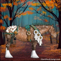 Horse Color:Gray Black Pearl Appaloosa 