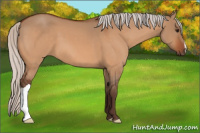 Horse Color:Silver Bay Dun 