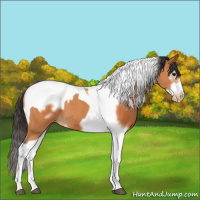 Horse Color:Bay Splash Tobiano Varnish and Bay Splash Tobiano Frame Varnish