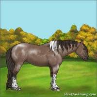 Horse Color:Liver Red Dun Tobiano Rabicano Brindle 