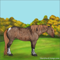 Horse Color:Liver Red Dun Tobiano Brindle
