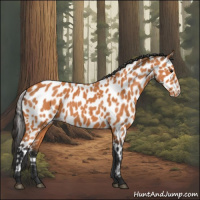 Horse Color:Bay Leopard 