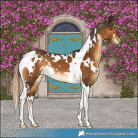 Horse Color:White Spotted Chocolate Palomino Tobiano Rabicano