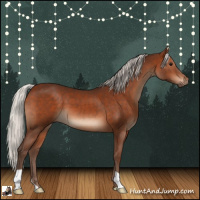 Horse Color:Silver Brown 