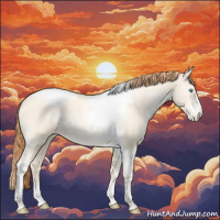 Horse Color:White Spotted Amber Cream Champagne Pearl Splash Tobiano Frame Appaloosa Rabicano 