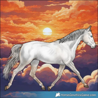 Horse Color:Gray White Spotted Chocolate Palomino Pearl Dun Appaloosa Rabicano 
