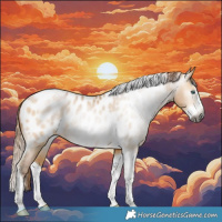 Horse Color:Gray Buckskin Snowdrop Dun Splash Tobiano Near Leopard Rabicano 