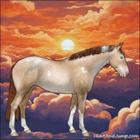 Horse Color:Gray White Spotted Classic Cream Champagne Pearl Tobiano Appaloosa Rabicano 