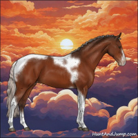 Horse Color:Silver Brown Tobiano Frame Appaloosa 