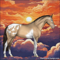 Horse Color:Gray Amber Champagne Dun Tobiano Appaloosa 