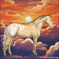 Horse Color:White Spotted Palomino Blanket Rabicano 