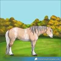 Horse Color:White Spotted Bay Dun Rabicano  and White Spotted Silver Bay Dun Rabicano 