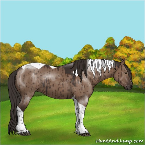 Horse Color:Liver Red Dun Tobiano Brindle 