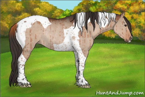 Horse Color:Liver Red Dun Tobiano Rabicano Brindle 