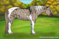 Horse Color:Liver Red Dun Tobiano Rabicano Brindle 