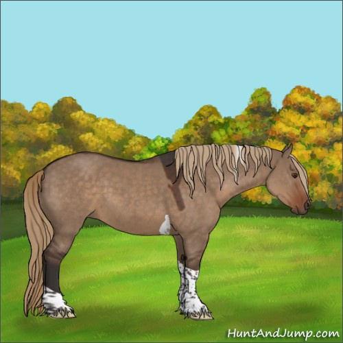 Horse Color:Liver Red Dun Tobiano Rabicano 