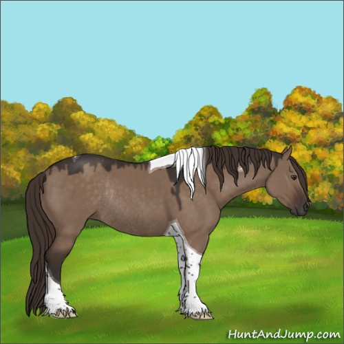 Horse Color:Liver Red Dun Tobiano Rabicano 