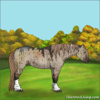 Horse Color:Liver Red Dun Tobiano Rabicano Brindle 