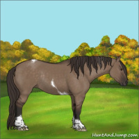 Horse Color:Liver Red Dun Tobiano Rabicano 