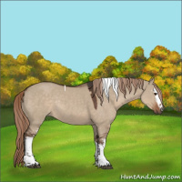 Horse Color:White Spotted Liver Red Dun Tobiano Rabicano 