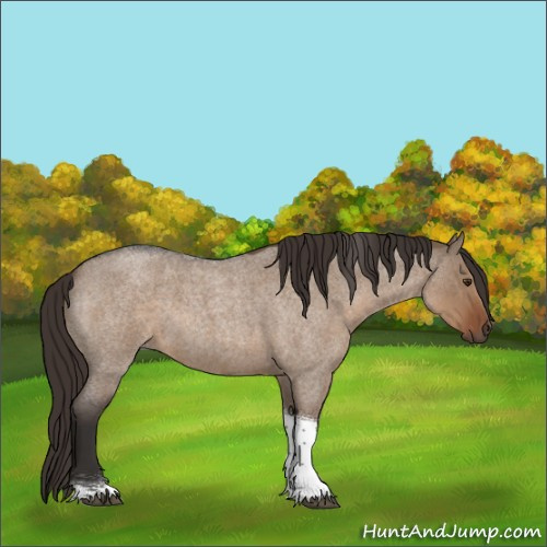 Horse Color:Liver Red Dun Roan Tobiano 