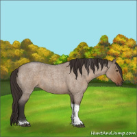 Horse Color:Liver Red Dun Roan Tobiano 