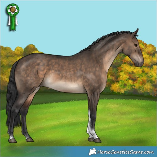 Horse Color:Brown Dun Tobiano 