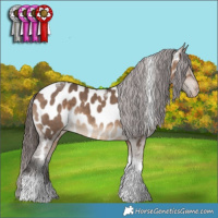 Horse Color:Brown Dun Tobiano Near Leopard 