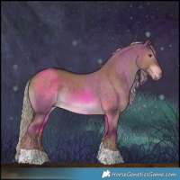 Horse Color:Liver Red Dun Tobiano 