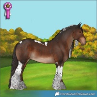 Horse Color:Liver Chestnut Tobiano  and Liver Chestnut Tobiano 
