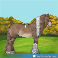 Horse Color:Liver Red Dun Tobiano 