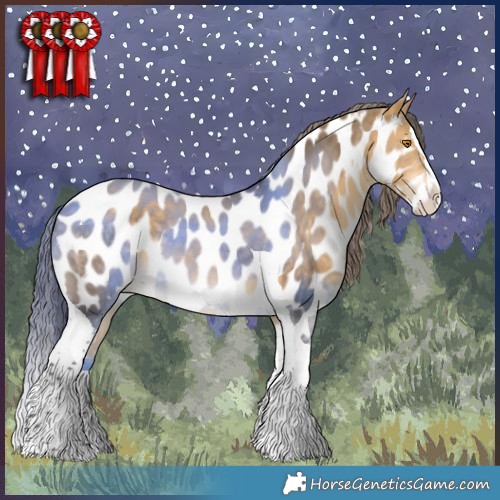 Horse Color:Buckskin Dun Splash Tobiano Appaloosa 