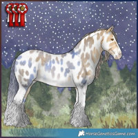 Horse Color:Buckskin Dun Splash Tobiano Near Leopard 