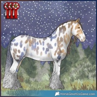 Horse Color:Buckskin Dun Splash Tobiano Appaloosa 