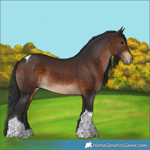 Horse Color:Brown Tobiano 