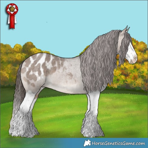 Horse Color:Bay Roan Dun Splash Appaloosa 