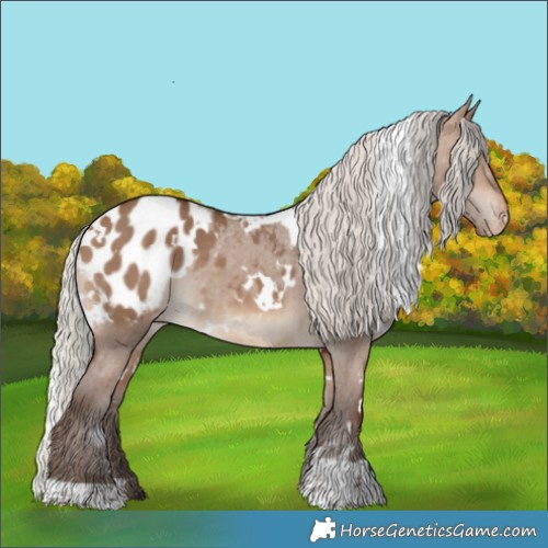 Horse Color:White Spotted Silver Brown Dun Appaloosa 
