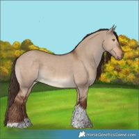 Horse Color:Liver Red Dun Tobiano 