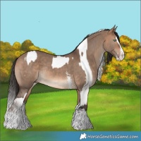 Horse Color:Sable Champagne Dun Tobiano Varnish Rabicano  and Bay Dun Sabino Splash Rabicano 
