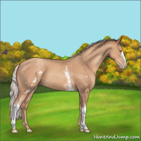 Horse Color:White Spotted Silver Classic Champagne