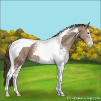 Horse Color:White Spotted Classic Champagne Tobiano 