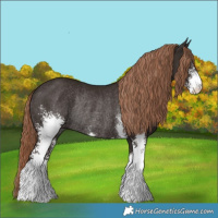 Horse Color:Liver Chestnut Sabino Rabicano 