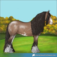 Horse Color:Liver Red Dun Sabino 