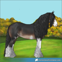 Horse Color:Brown Sabino 