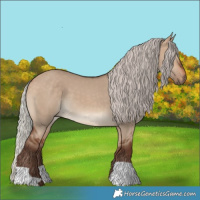 Horse Color:Silver Bay Dun 