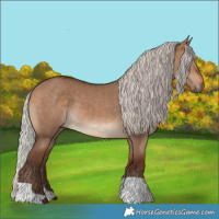 Horse Color:Silver Bay Dun 