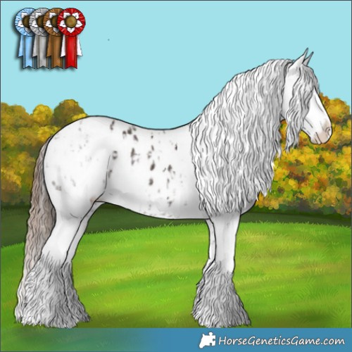 Horse Color:Liver Chestnut Sabino Appaloosa Rabicano  and White Spotted Liver Red Dun Sabino Splash Appaloosa 