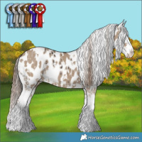 Horse Color:Liver Chestnut Sabino Appaloosa Rabicano  and White Spotted Liver Red Dun Sabino Splash Appaloosa 